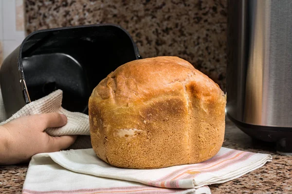 Σπιτικό ψωμί ψημένο σε ένα Αρτοπαρασκευαστής — Φωτογραφία Αρχείου
