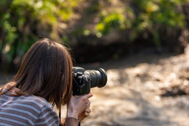 Doğa fotoğrafçısı ormanda