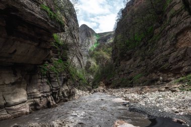 Vadideki hızlı dağ nehri.