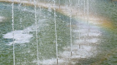 Çeşme Park Tsaritsyno yaz saati