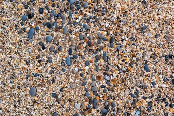 Små stenar och skaldjur bakgrund — Stockfoto