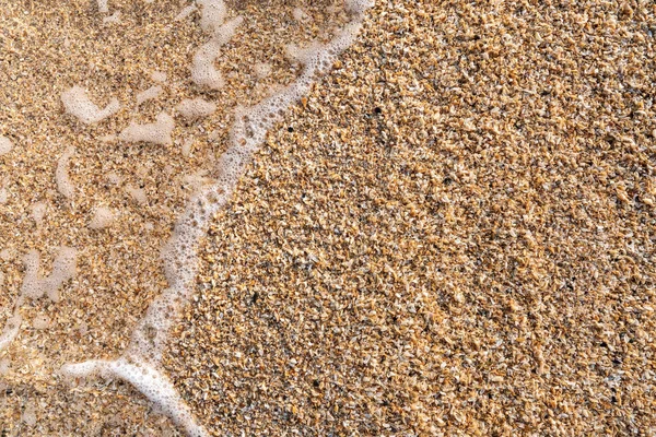 Mar concha roca fondo textura —  Fotos de Stock