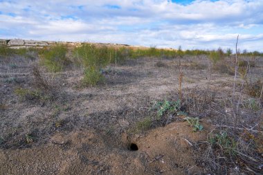 Burrow of a small steppe animal