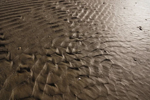 Lindringsyta av våt sand — Stockfoto
