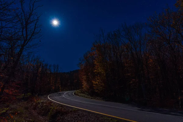Strada vuota nella foresta autunnale in una notte di luna — Foto Stock