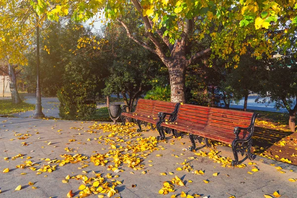Скамейка в городском парке, опавшие желтые листья — стоковое фото