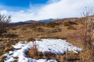 İskoçya, soğuk temiz hava ve düşük faizli bitkiler manzarası