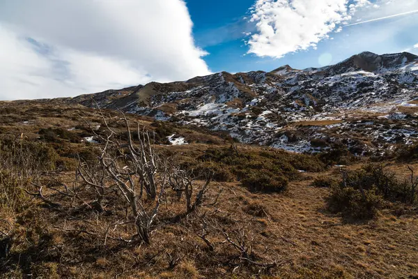 Highlands, l'air frais froid et des plantes à faible taux paysage — Photo
