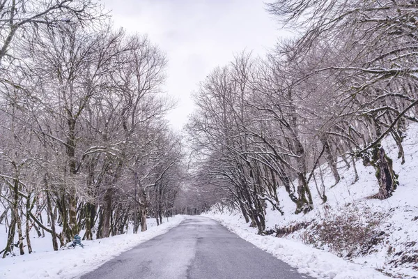Очищенная дорога в снежном лесу — стоковое фото