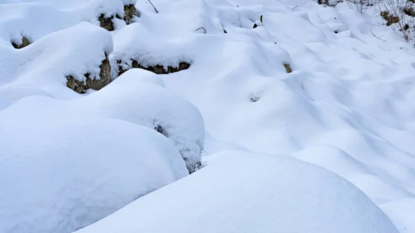 Глибокий сніг в зимовому лісі — стокове фото