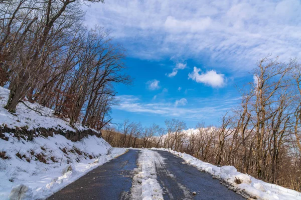 Snowy mountain road among the forest — Stock Photo, Image