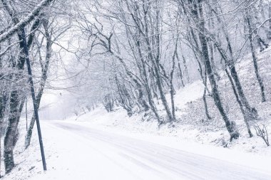 Kış ormanlarında karla kaplı yollar
