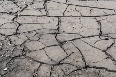 Kurumuş bir gölün dibinde.