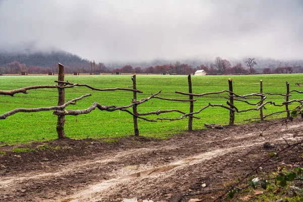 Green farm field fenced with twigs — Stock Photo, Image
