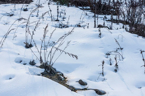 Cubierta de nieve profunda blanca en el jardín — Foto de Stock