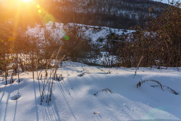 Белый глубокий снег в горном лесу — стоковое фото