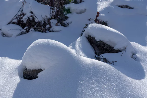 Snowdrifts en el bosque de invierno — Foto de Stock