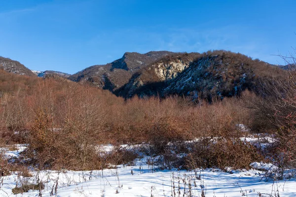 Copertura di neve profonda nella foresta di montagna — Foto Stock