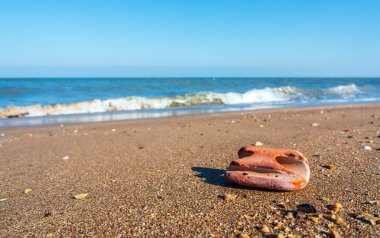 Deniz kıyısında delikleri olan tuhaf bir taş.