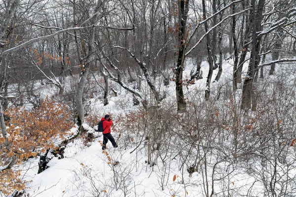 Nature photographer in winter mountain forest