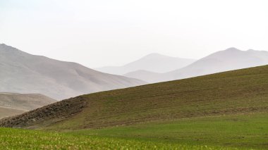 Sisli bir dağ sırtının arkasındaki yeşil tarlalar