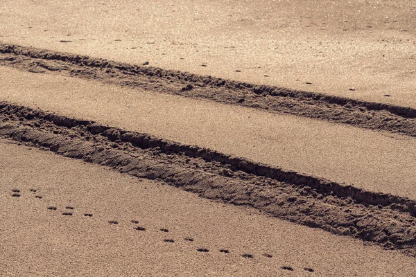Σήματα Πέλματος Ελαστικών Στην Άμμο — Φωτογραφία Αρχείου
