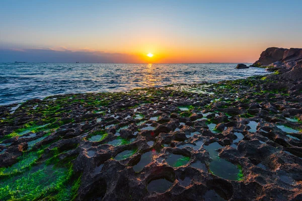 Costa Rochosa Com Algas Verdes — Fotografia de Stock