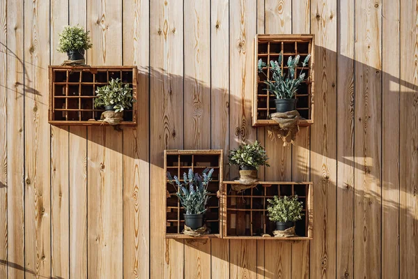 Wooden boxes with aromatic plants — 스톡 사진