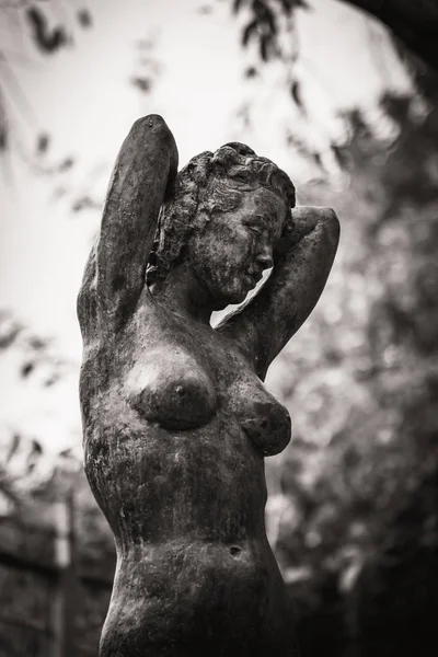 Статуя Обнаженной Женщины Сделанная Бронзы Расположенная Саду — стоковое фото