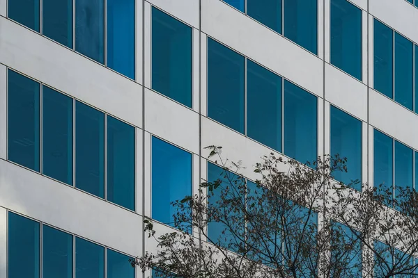 Symmetrische Blaue Fenster Eines Bürogebäudes Aus Aluminium Und Glas — Stockfoto
