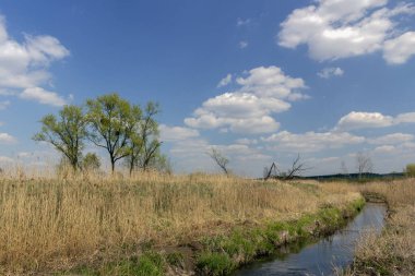 Küçük bir nehir vadisi olan manzara