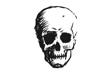 alt çene ile siyah-beyaz insan kafatası.