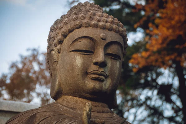Posąg Buddy Świątyni — Zdjęcie stockowe