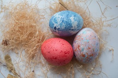Yuvadaki paskalya yumurtaları
