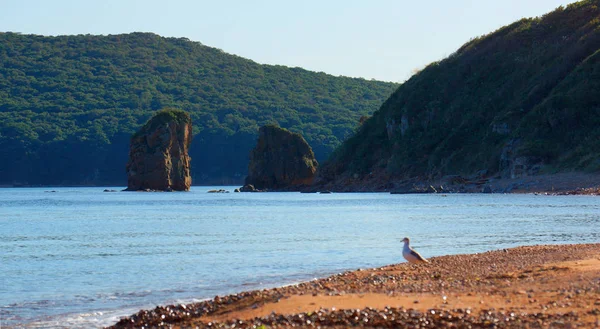 Kıyı bölgesinin deniz manzarası