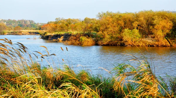 Kıyı bölgesinde sonbahar geniş nehri