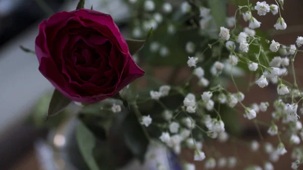 Kırmızı gül ve küçük beyaz çiçekler.