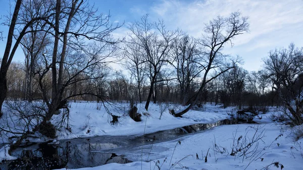 Ağaçlar, karlı kıyılar ve kış manzaralarıyla çevrili çözülmemiş nehir.