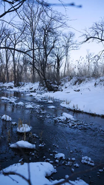 Ağaçlar, karlı kıyılar ve kış manzaralarıyla çevrili çözülmemiş nehir.
