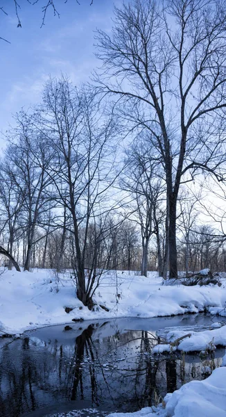 Ağaçlar, karlı kıyılar ve kış manzaralarıyla çevrili çözülmemiş nehir.