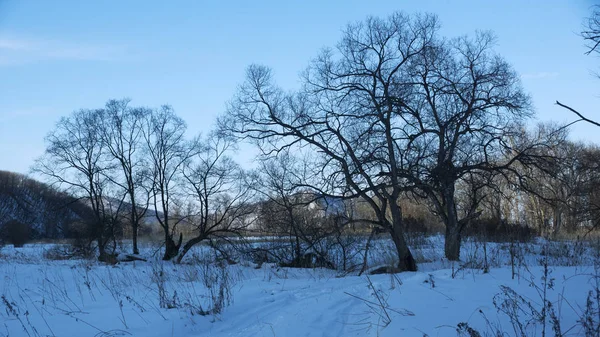 Kış manzarası, tarlada karlı yol, etraftaki ağaçlar ve tepeler