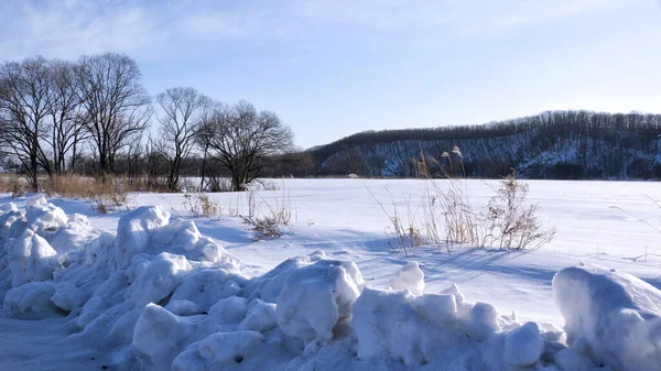 Kış manzarası, tarlada karlı bir yol, etraftaki ağaçlar.