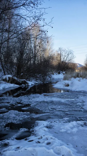 Kış manzarası, donmuş nehir ve karda duran ağaçlar değil.