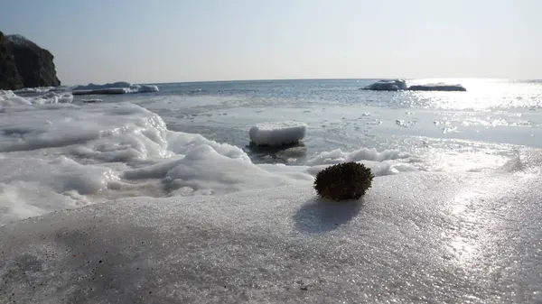 Deniz kışı manzarası, soğuk buzlu su