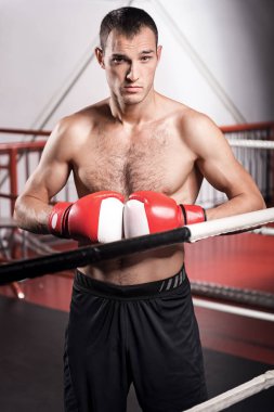 Göğüs önünde eldivenli yakışıklı boksör