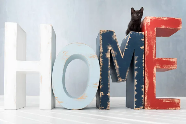 Gato preto bonito sentado nas decorações de madeira — Fotografia de Stock