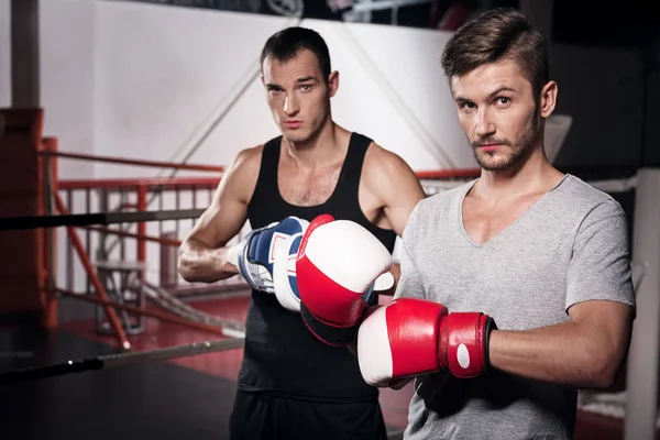 Zwei Männer mit Boxhandschuhen — Stockfoto