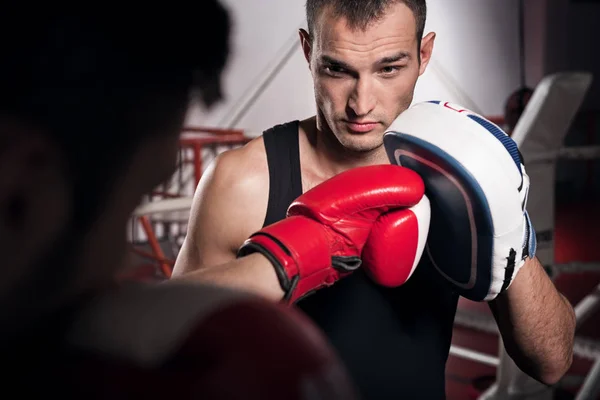 Young trainer holding boxing pad — Stock Photo, Image