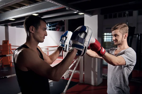 Side view of young boxer training hook on pad