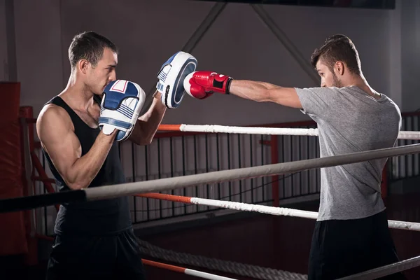 Men practicing boxing on ring — Stock Photo, Image